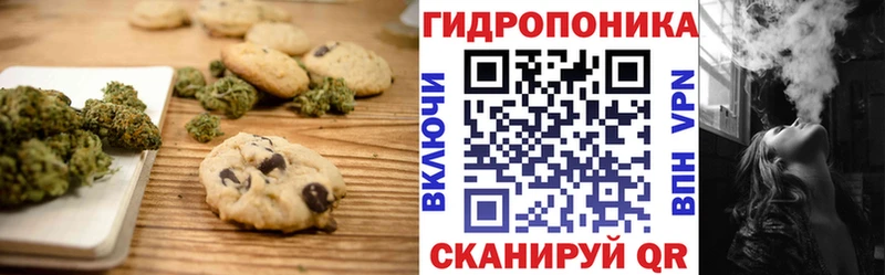 Canna-Cookies марихуана  Купить закладки  Новоржев 