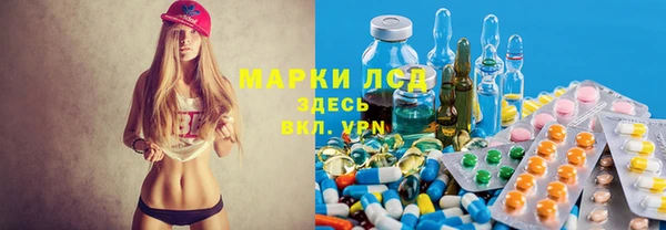 индика Краснослободск