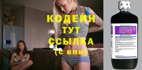 индика Краснослободск