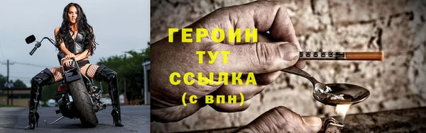индика Краснослободск