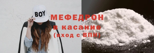 индика Краснослободск