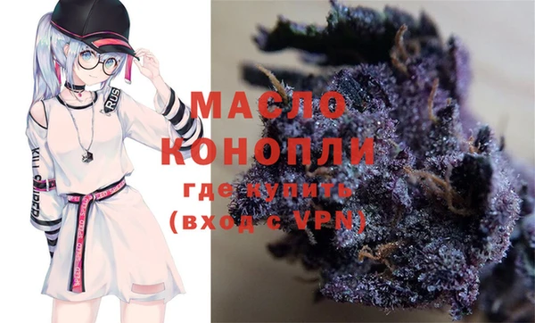 индика Краснослободск