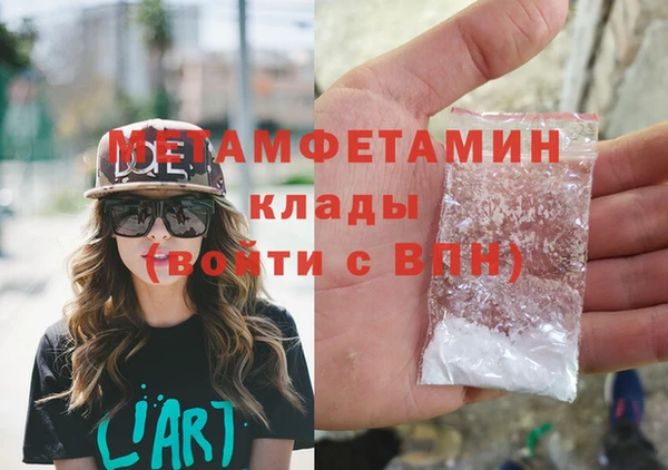 индика Краснослободск