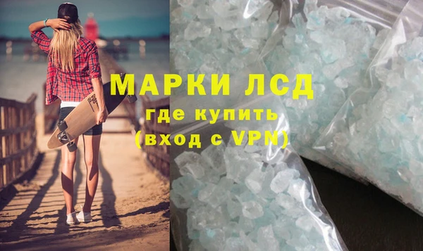 индика Краснослободск