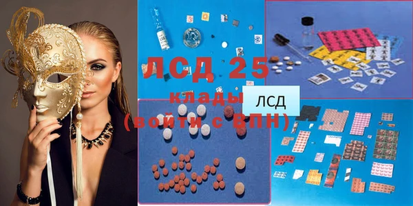 индика Краснослободск