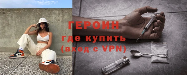 индика Краснослободск