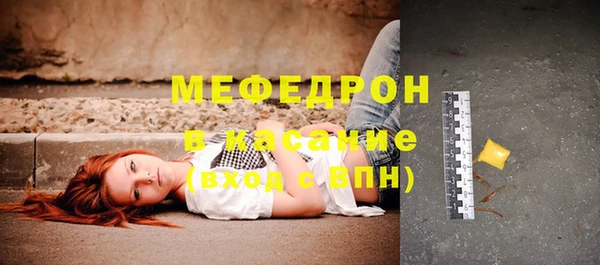 индика Краснослободск