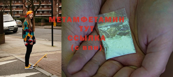 индика Краснослободск