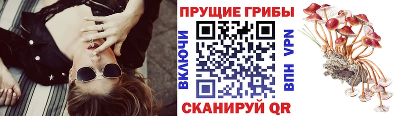 Галлюциногенные грибы ЛСД  Купить где  Новоржев 